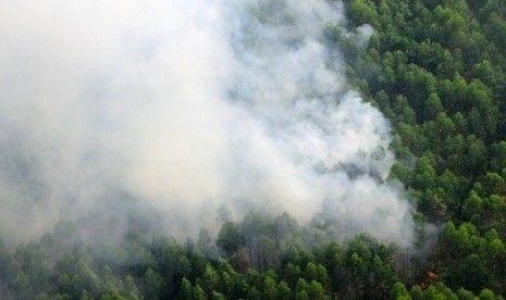 smoke rises from burning forest